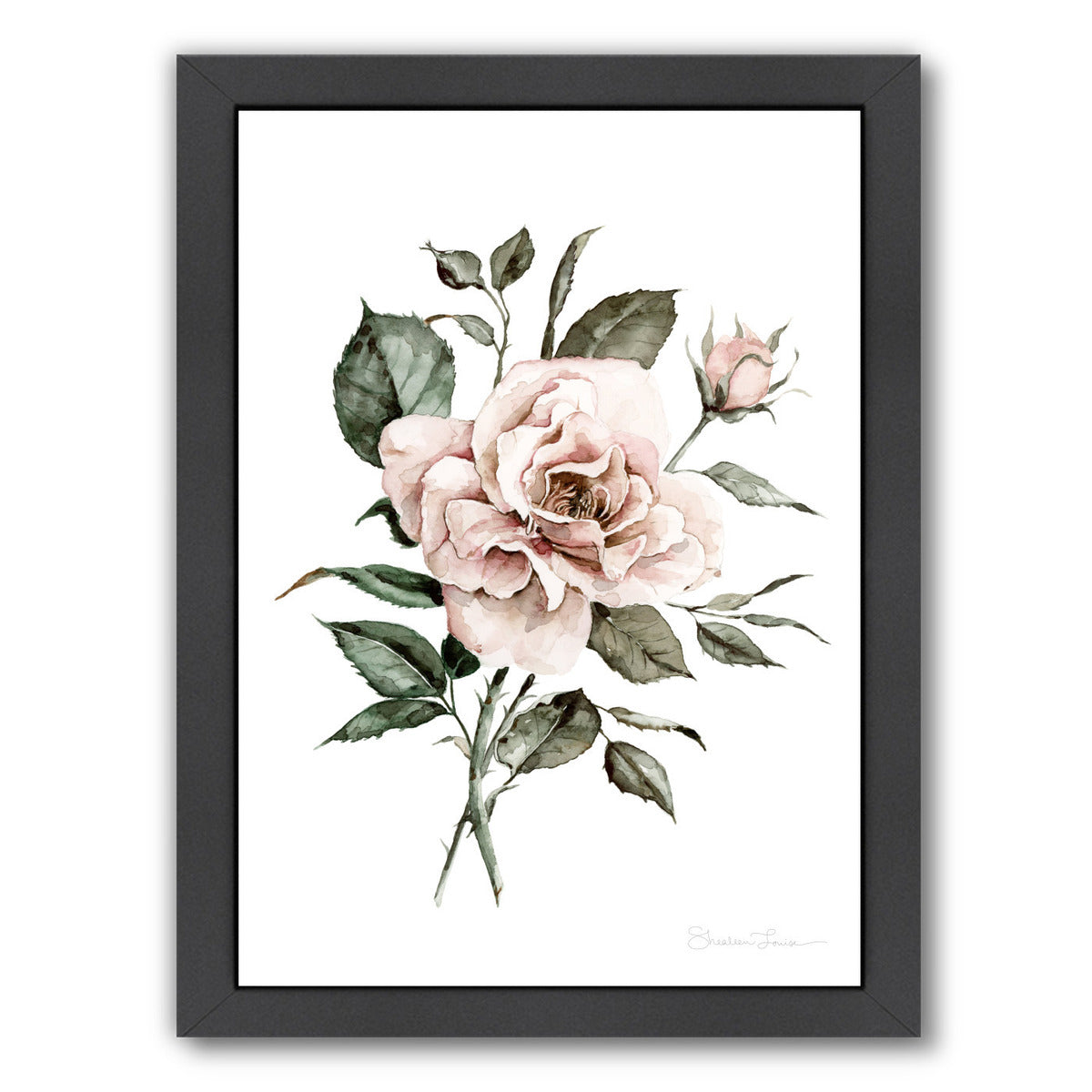 Faded Pink Rose by Shealeen Louise Framed Print - Americanflat