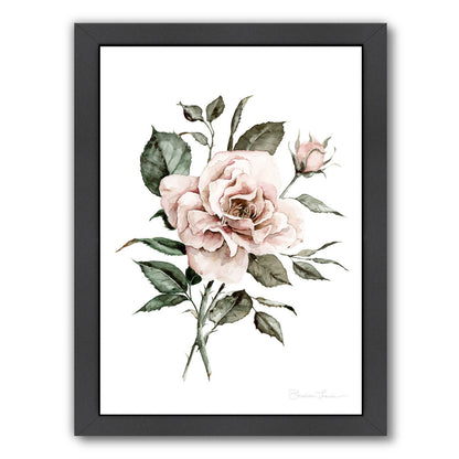 Faded Pink Rose by Shealeen Louise Framed Print - Americanflat