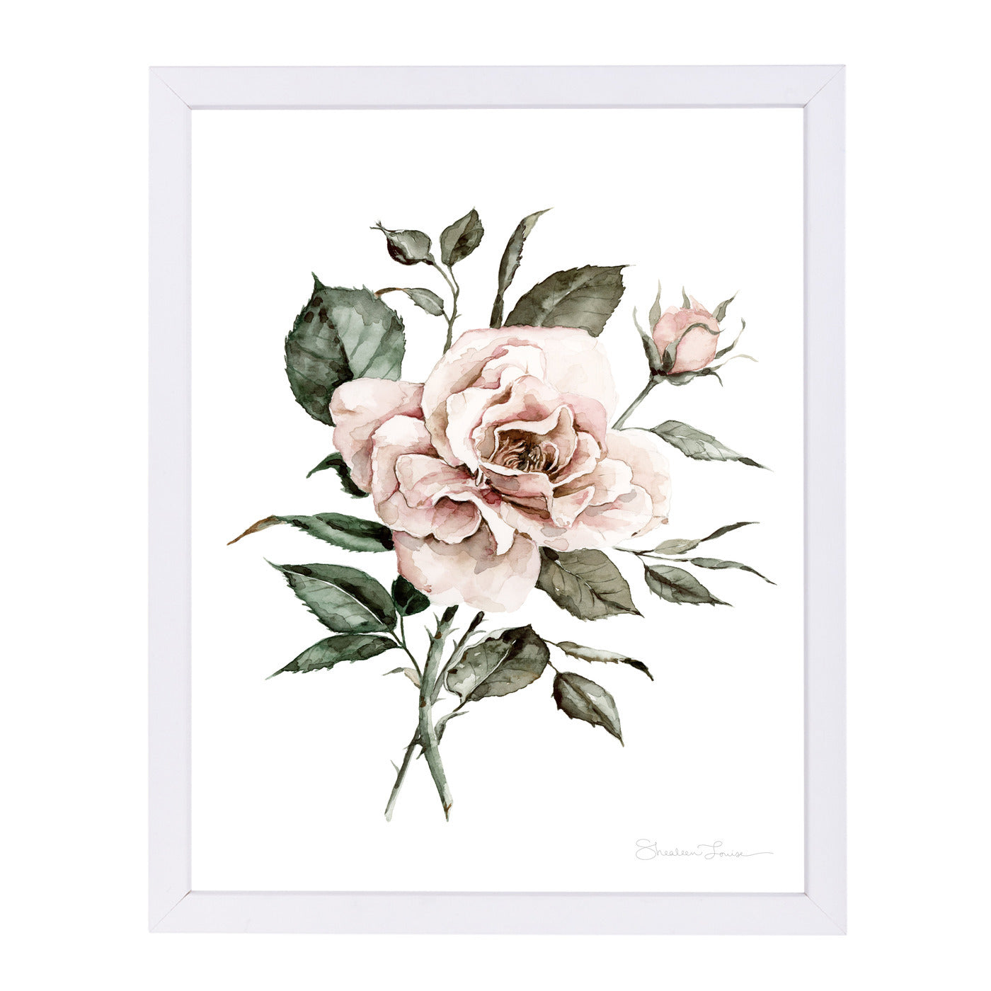 Faded Pink Rose by Shealeen Louise Framed Print - Americanflat
