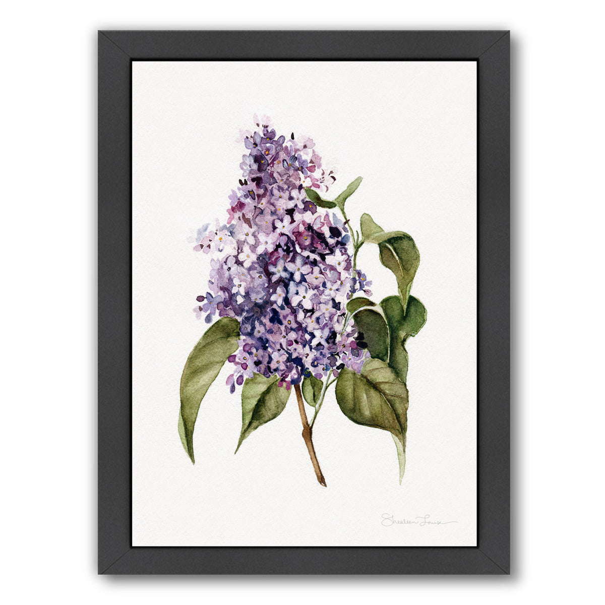 Lilac Branch by Shealeen Louise Framed Print - Americanflat