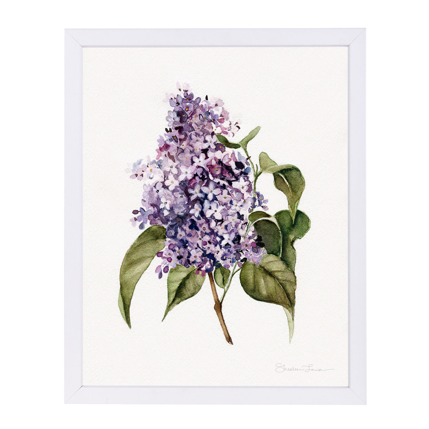 Lilac Branch by Shealeen Louise Framed Print - Americanflat