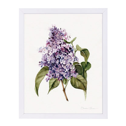 Lilac Branch by Shealeen Louise Framed Print - Americanflat