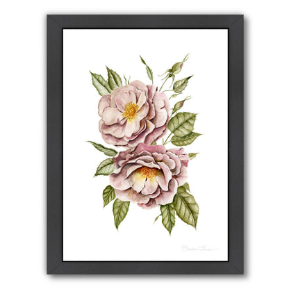 Matangi Roses by Shealeen Louise Framed Print - Americanflat