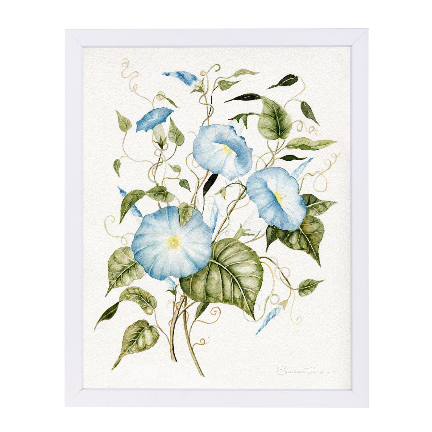 Morning Glories by Shealeen Louise Framed Print - Americanflat