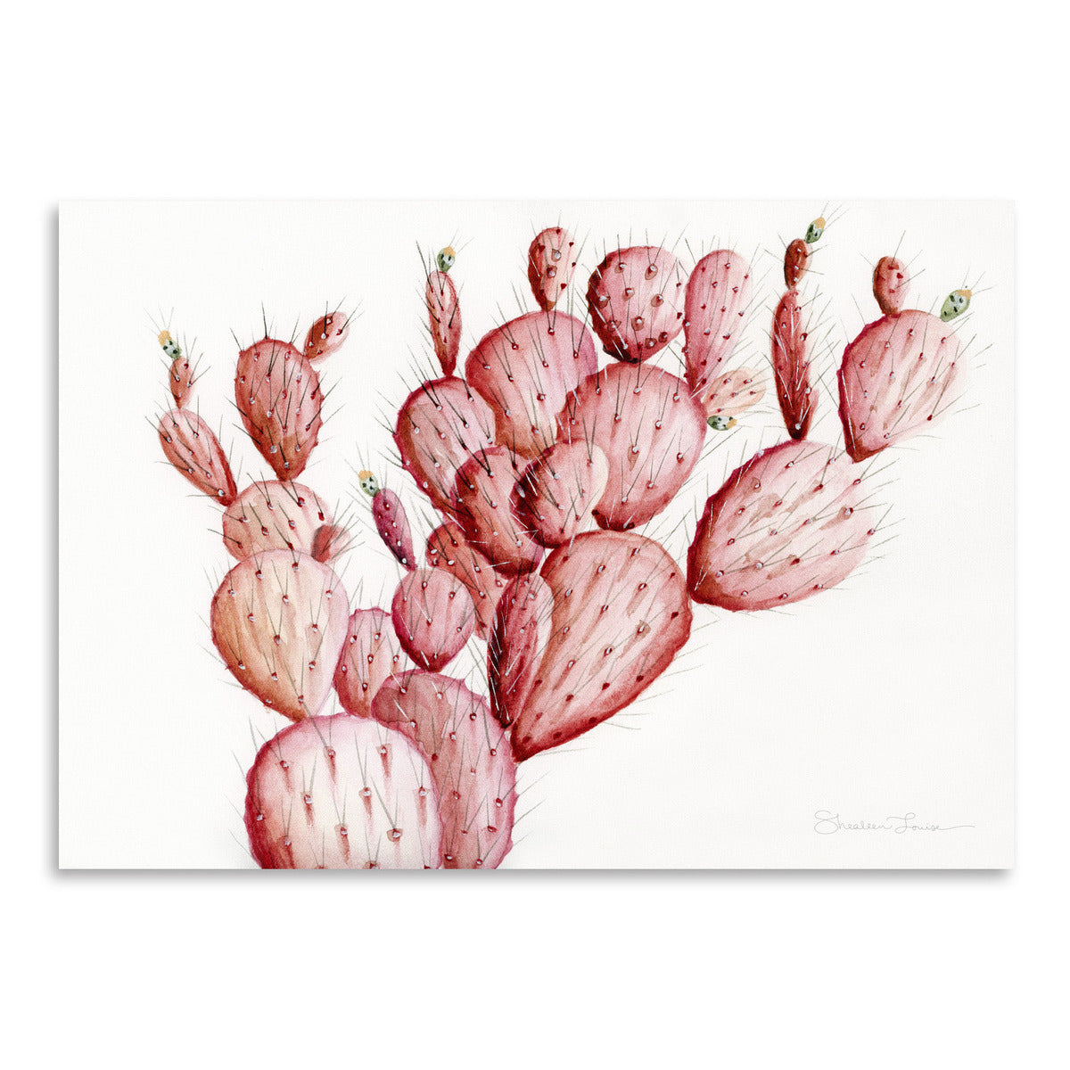 Pink Cacti by Shealeen Louise Art Print - Art Print - Americanflat