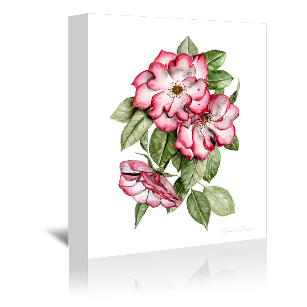 Portland Roses by Shealeen Louise Wrapped Canvas - Wrapped Canvas - Americanflat