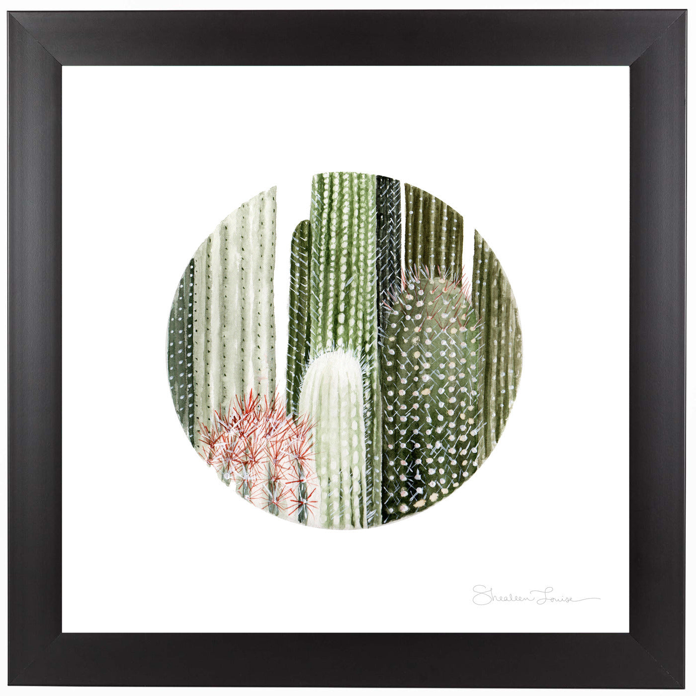Circular Cacti by Shealeen Louise Framed Print - Americanflat