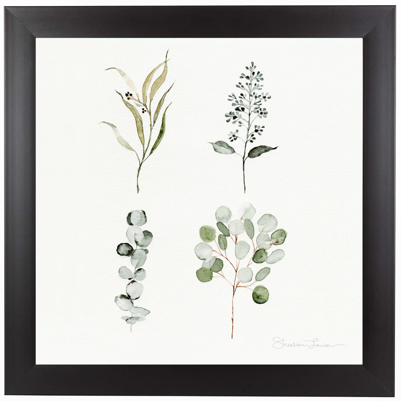 Eucalyptus Pieces by Shealeen Louise Framed Print - Americanflat