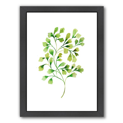 Tropical Leaf Fern By Victoria Nelson - Black Framed Print - Wall Art - Americanflat