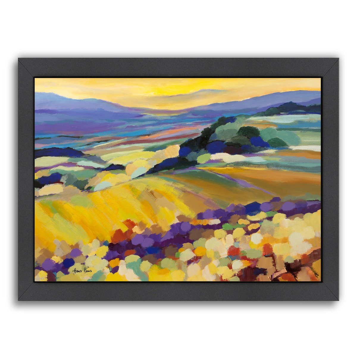 Abstract Landscape 8 By Hans Paus - Black Framed Print - Wall Art - Americanflat