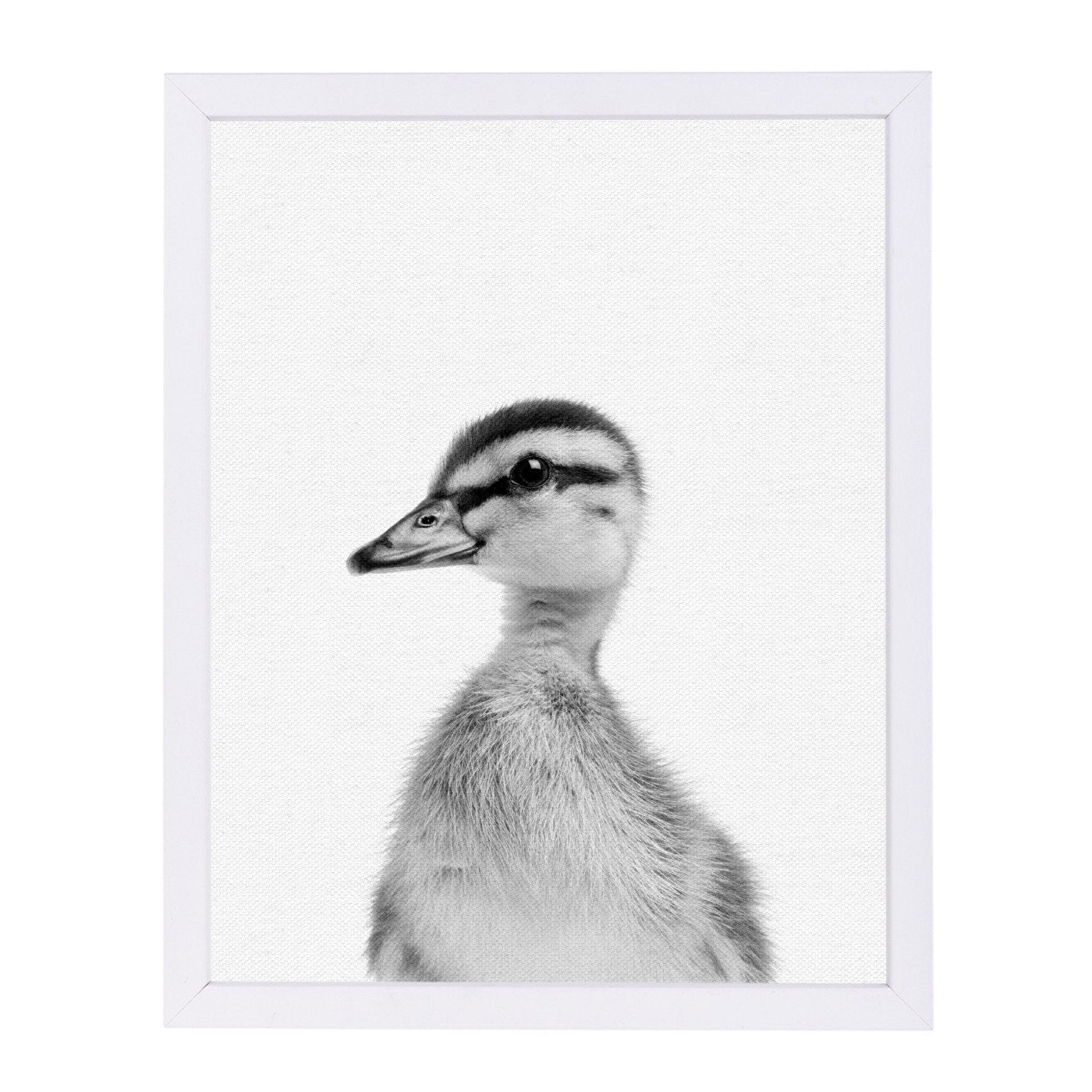Baby Duck By Nuada - White Framed Print - Wall Art - Americanflat