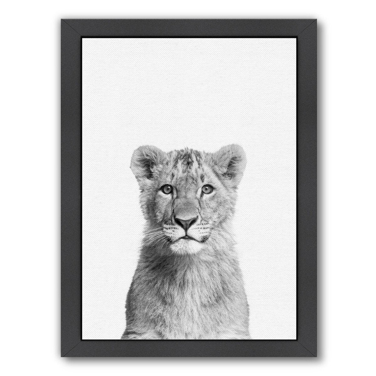 Baby Lion By Nuada - Black Framed Print - Wall Art - Americanflat