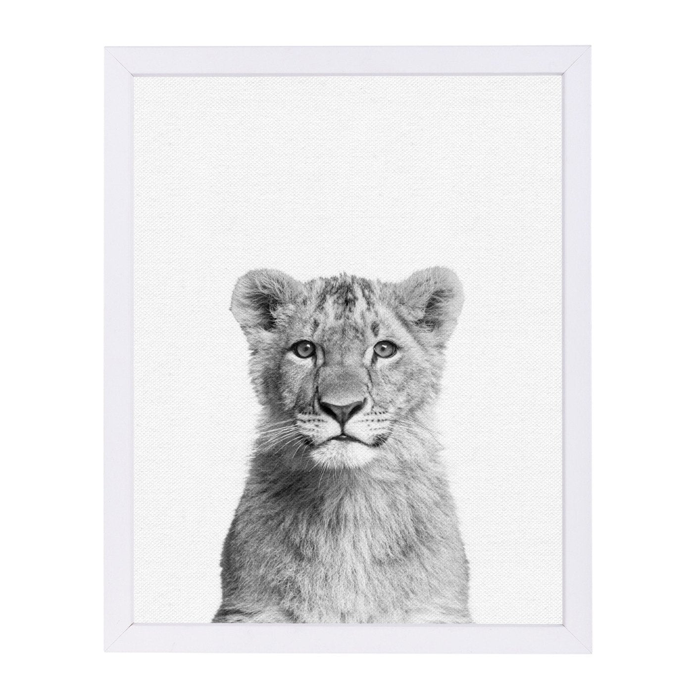Baby Lion By Nuada - Framed Print - Americanflat