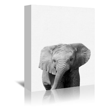 Zoo Animals - 3 Piece Canvas Print Gallery Wall Set - Americanflat