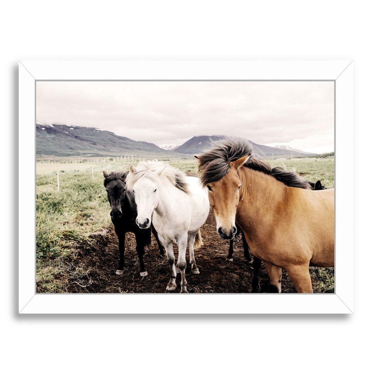 Farm Horses By Nuada - White Framed Print - Wall Art - Americanflat