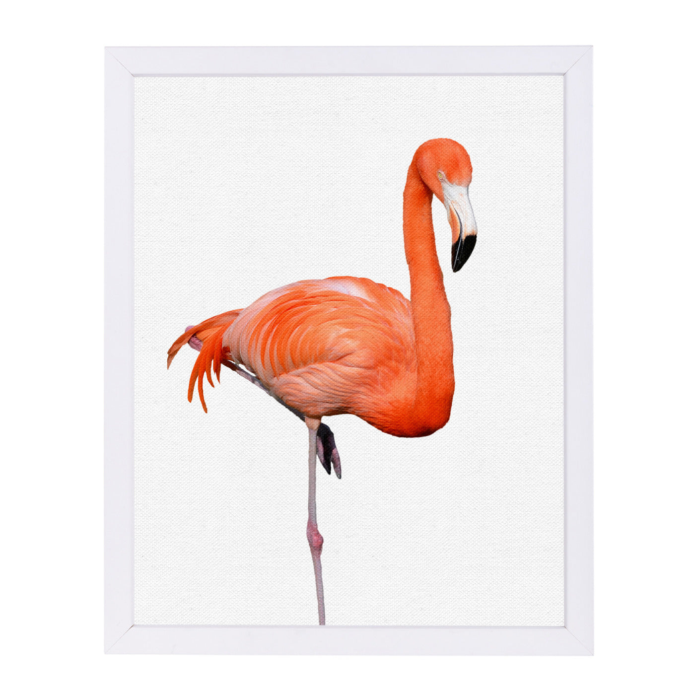 Flamingo By Nuada - White Framed Print - Wall Art - Americanflat