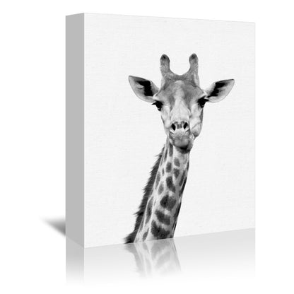 Zoo Animals - 3 Piece Canvas Print Gallery Wall Set - Americanflat