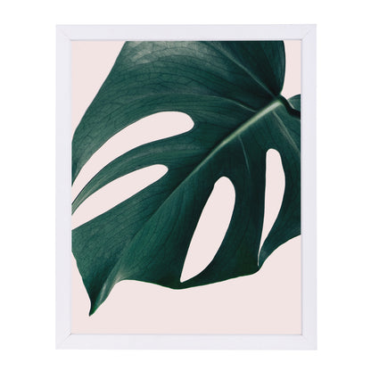 Monstera Close Up Pink By Nuada - White Framed Print - Wall Art - Americanflat
