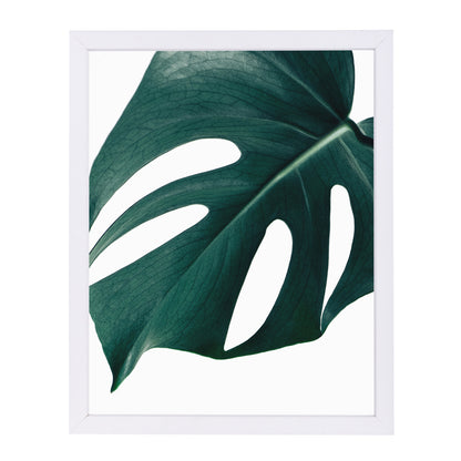 Monstera Close Up By Nuada - White Framed Print - Wall Art - Americanflat