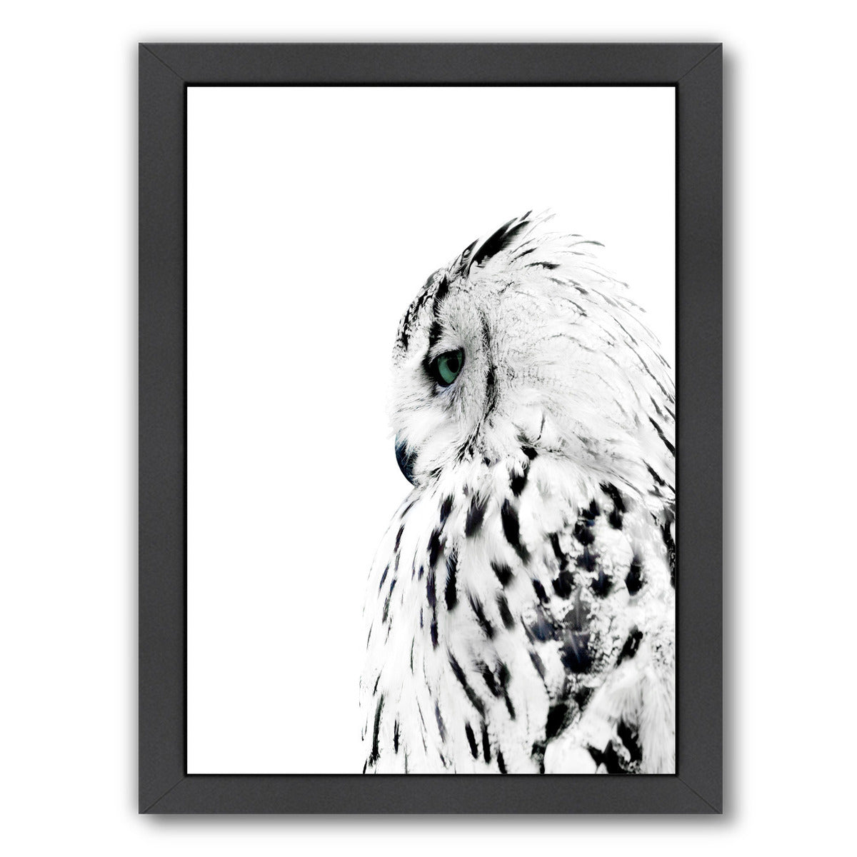 Owl By Nuada - Black Framed Print - Wall Art - Americanflat