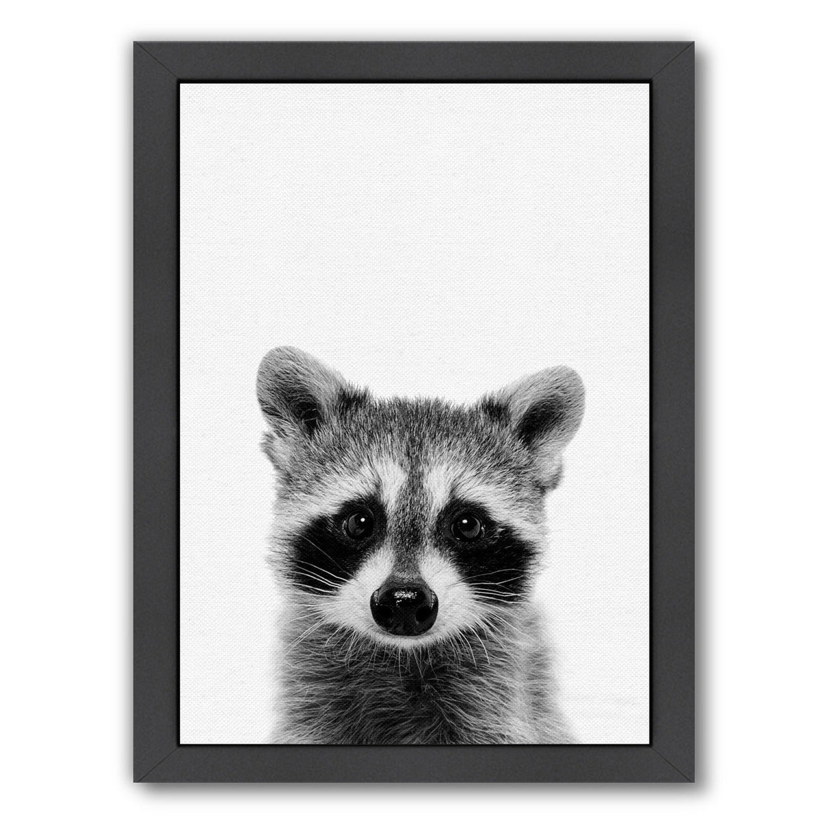 Raccoon By Nuada-Black Framed Print - Wall Art - Americanflat