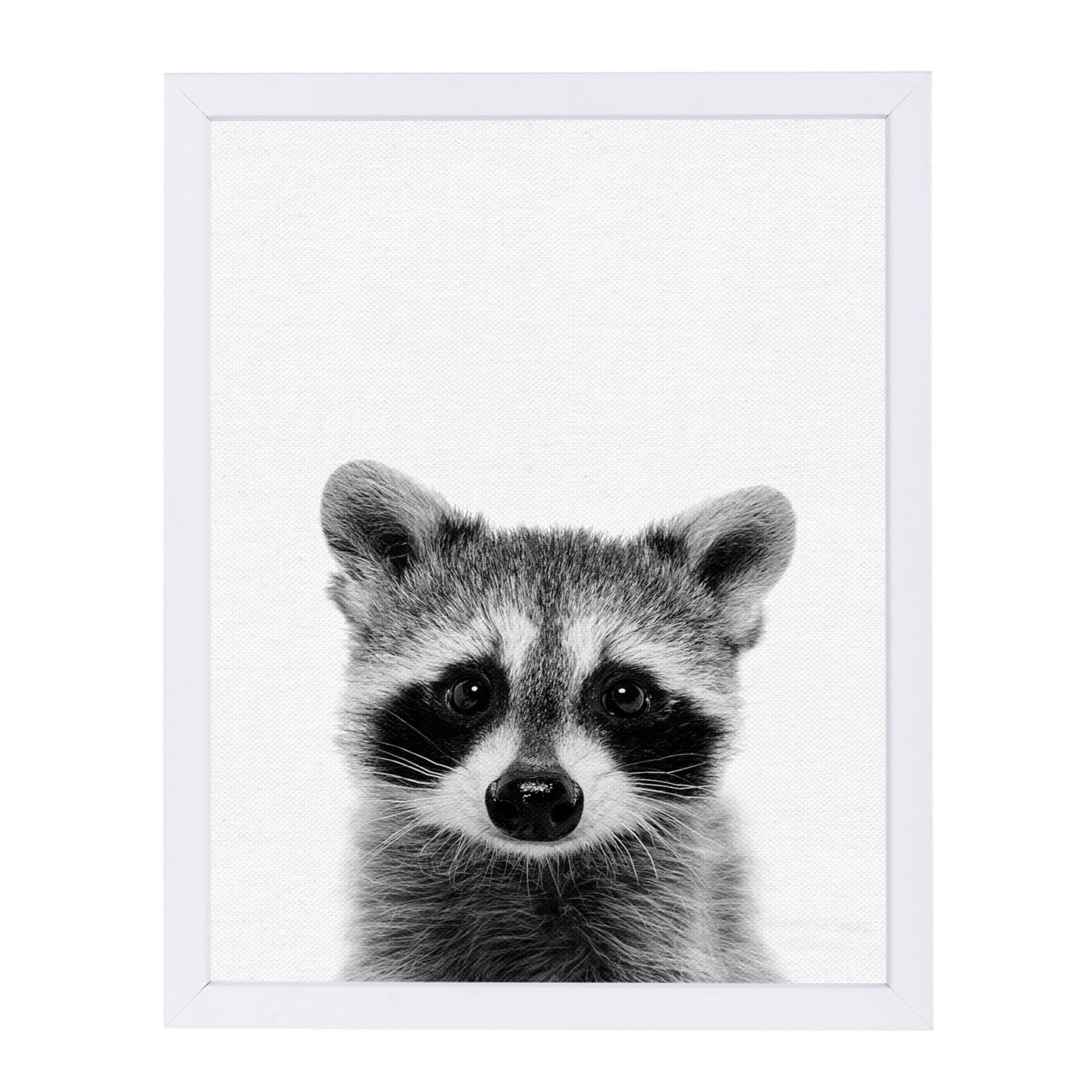 Raccoon By Nuada - White Framed Print - Wall Art - Americanflat
