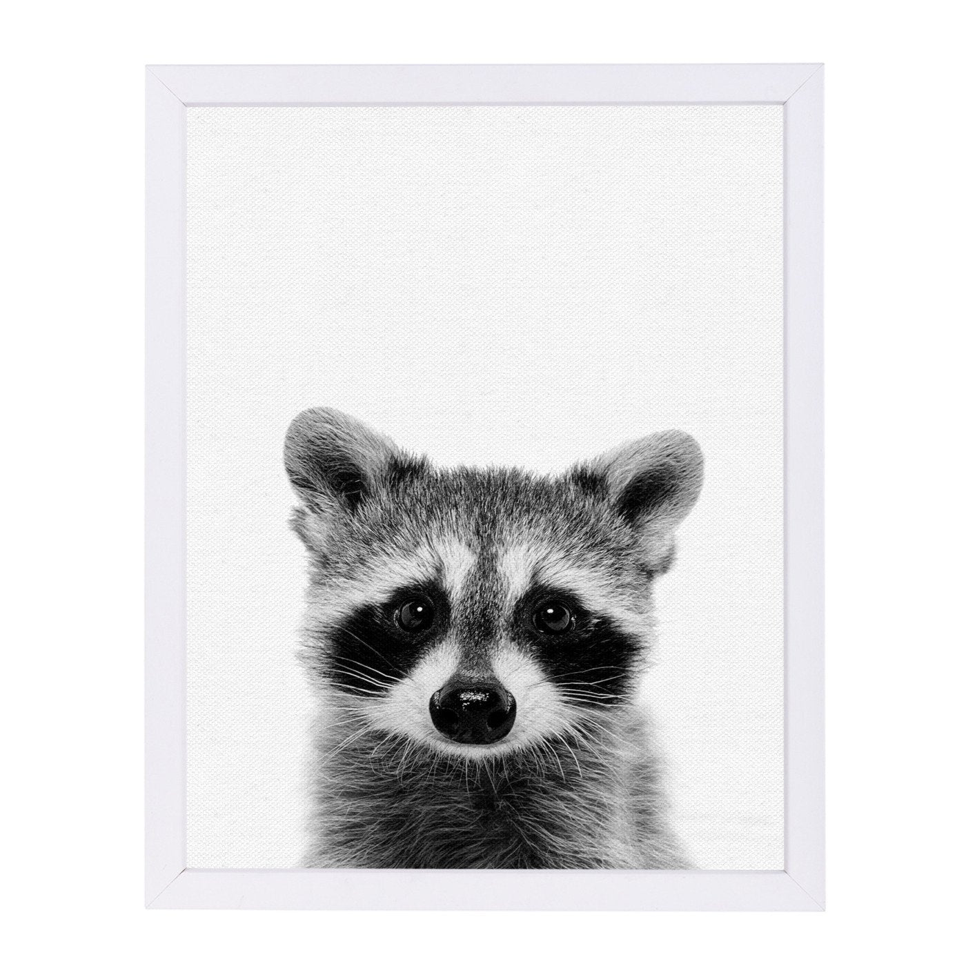 Raccoon By Nuada - Framed Print - Americanflat