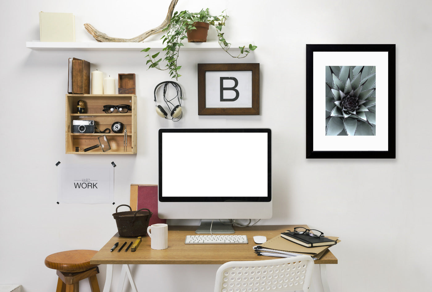 Succulent 1 By Nuada - Black Framed Print - Wall Art - Americanflat