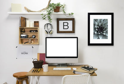 Succulent 1 By Nuada - Black Framed Print - Wall Art - Americanflat