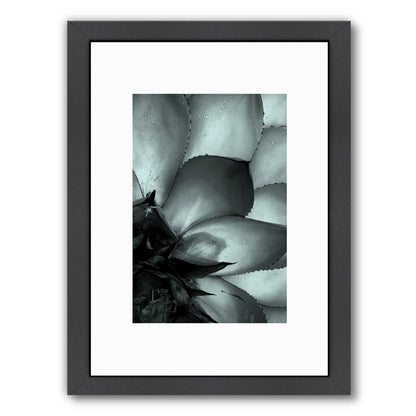 Succulent 3 By Nuada - Black Framed Print - Wall Art - Americanflat