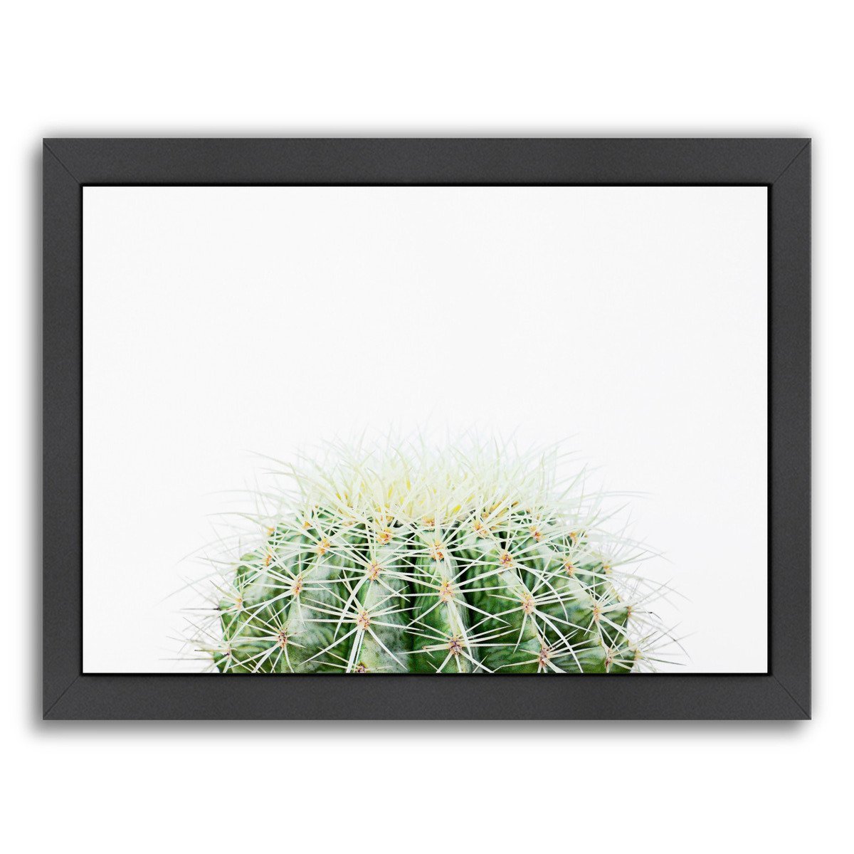 Barrel Cactus By The Gingham Owl - Black Framed Print - Wall Art - Americanflat
