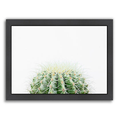 Barrel Cactus By The Gingham Owl - Black Framed Print - Wall Art - Americanflat