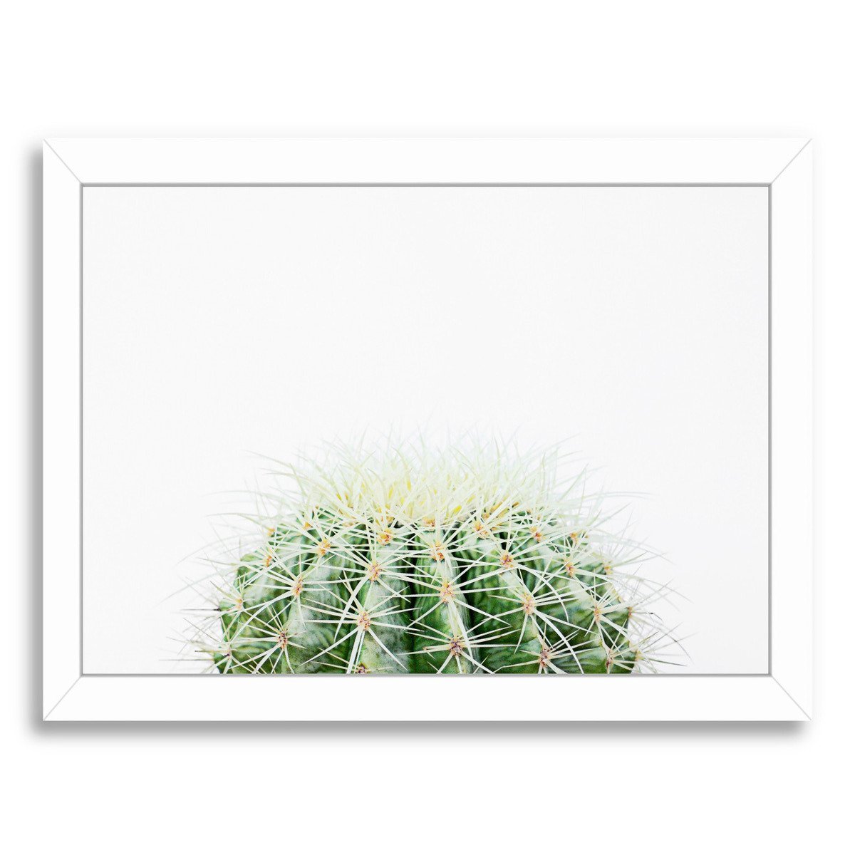 Barrel Cactus By The Gingham Owl - Framed Print - Americanflat