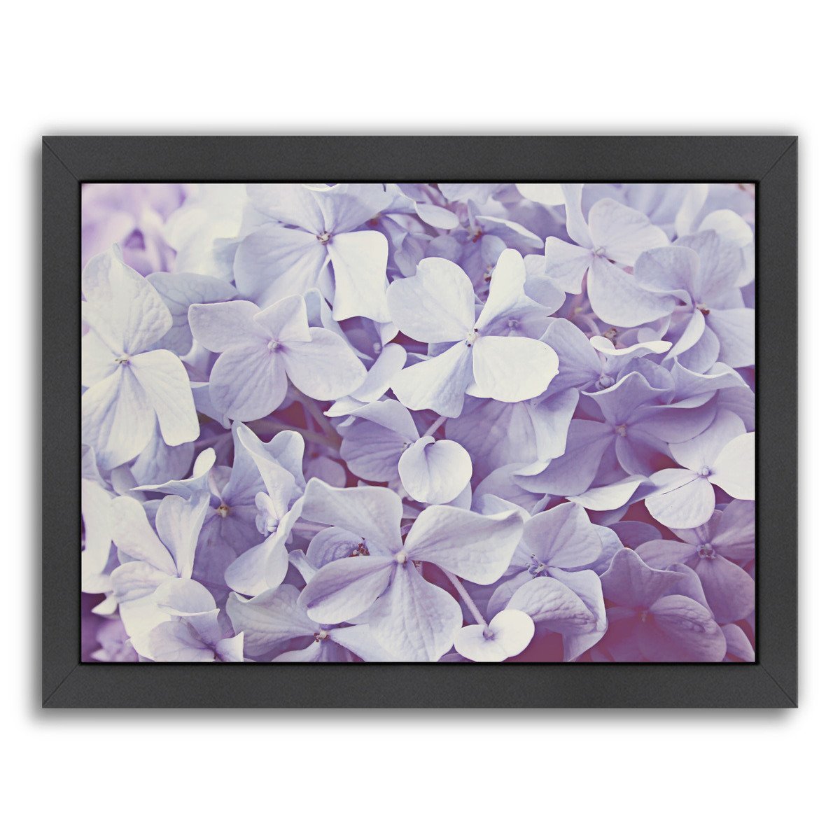 Blooming Hydrangeas By The Gingham Owl - Black Framed Print - Wall Art - Americanflat