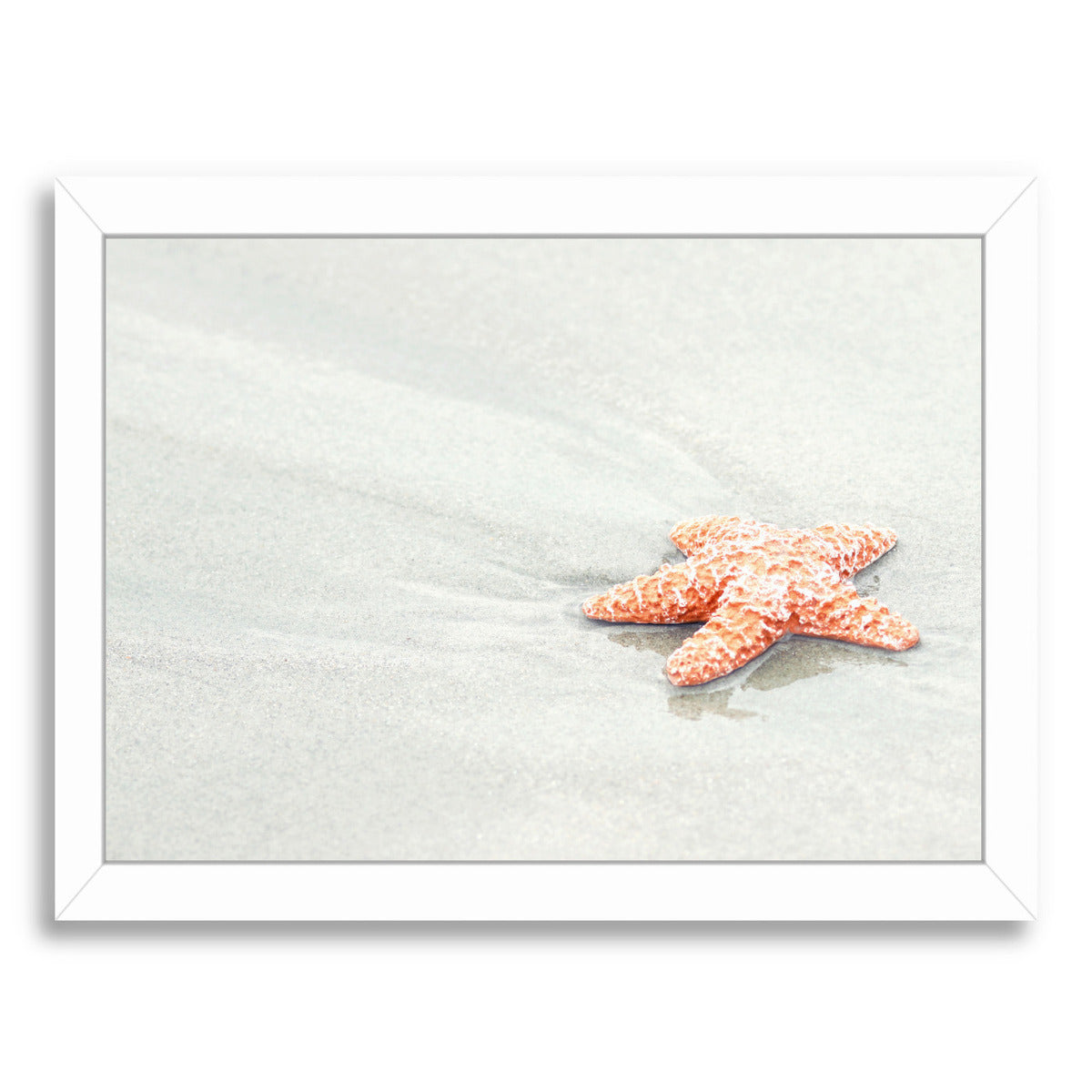 Coral Starfish By The Gingham Owl - White Framed Print - Wall Art - Americanflat