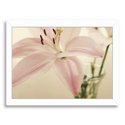Delicate Bloom By The Gingham Owl - White Framed Print - Wall Art - Americanflat