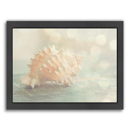 Dreamy Shell By The Gingham Owl - Black Framed Print - Wall Art - Americanflat