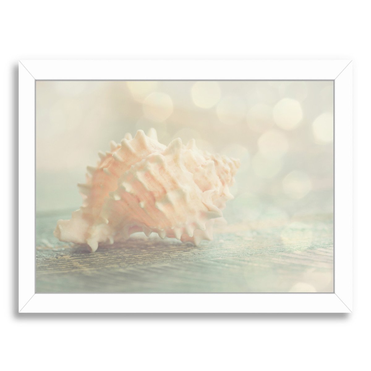 Dreamy Shell By The Gingham Owl - Framed Print - Americanflat