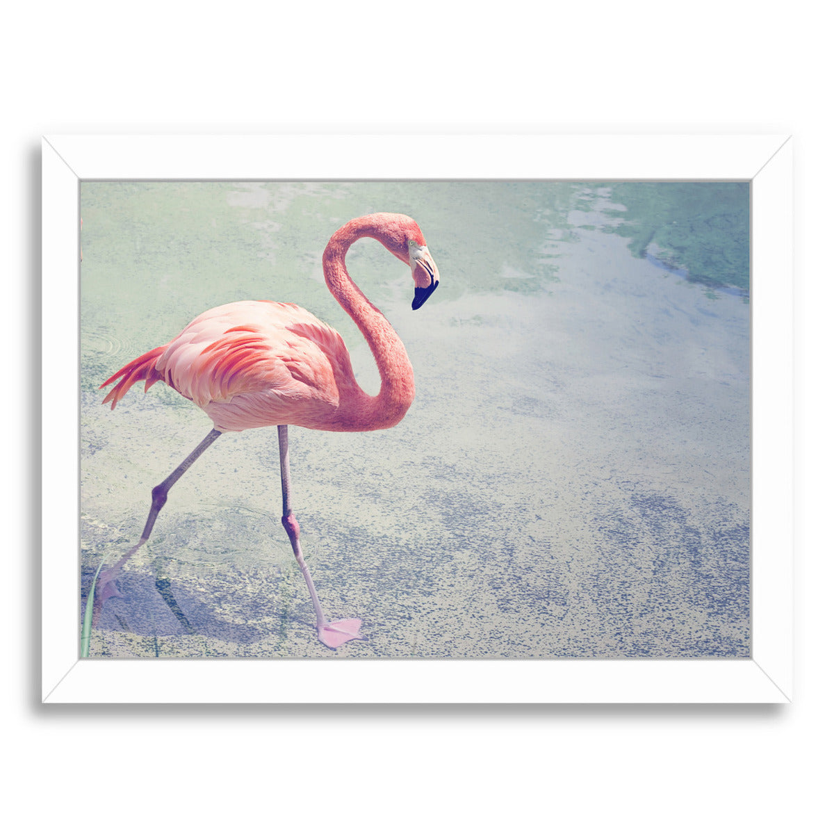 Flamingo Strut By The Gingham Owl - White Framed Print - Wall Art - Americanflat