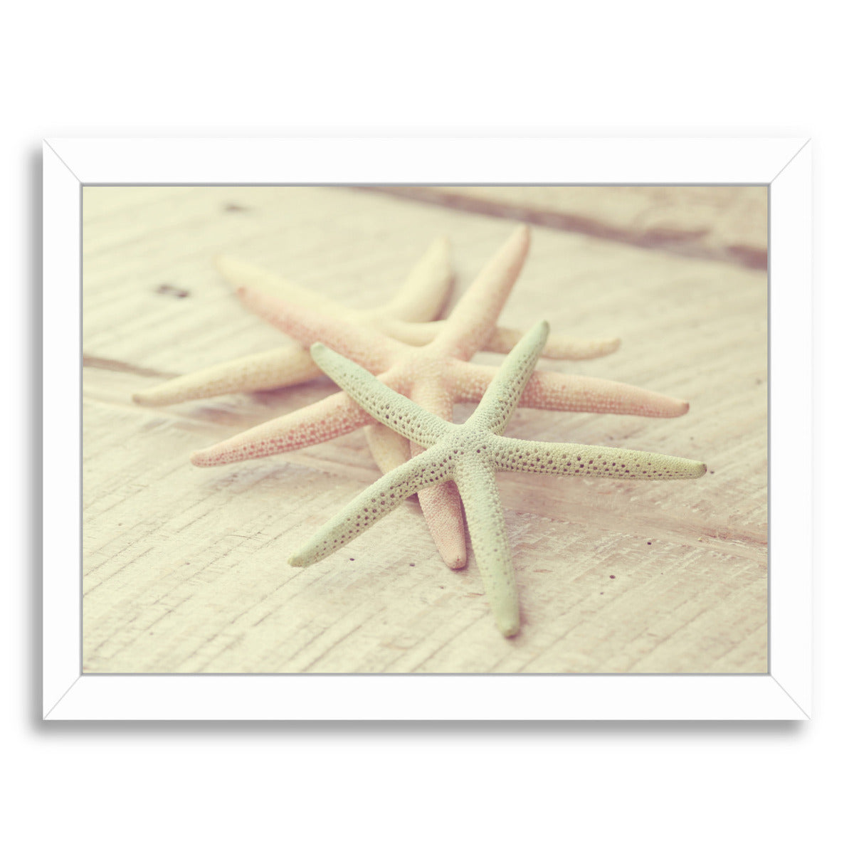 Pastel Sea Stars By The Gingham Owl - White Framed Print - Wall Art - Americanflat
