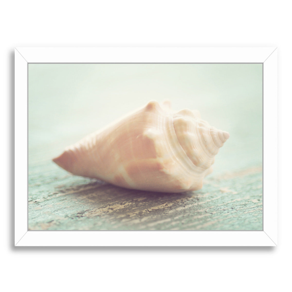 Pastel Shell 2 By The Gingham Owl - White Framed Print - Wall Art - Americanflat