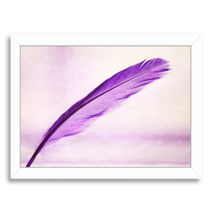 Purple Feather By The Gingham Owl - Framed Print - Americanflat
