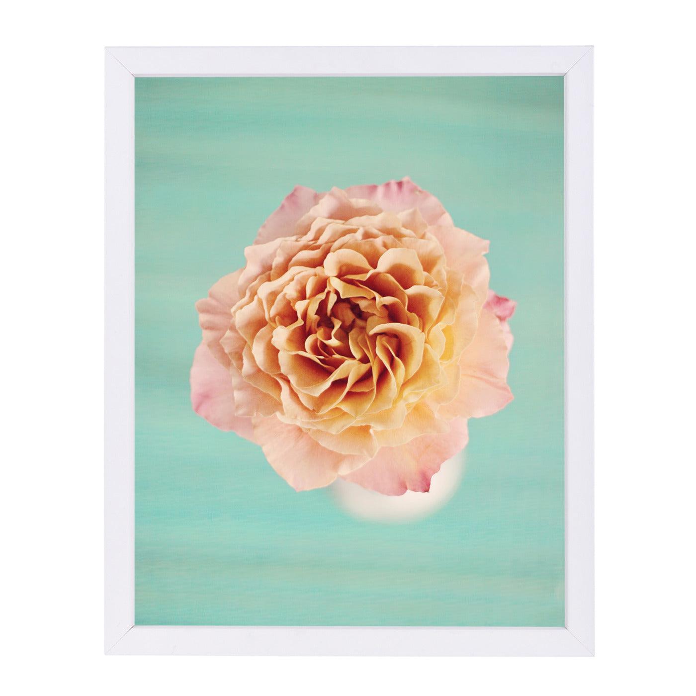 Rose Bloom By The Gingham Owl - White Framed Print - Wall Art - Americanflat