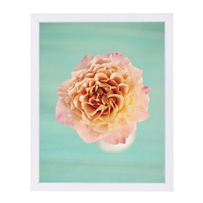 Rose Bloom By The Gingham Owl - White Framed Print - Wall Art - Americanflat