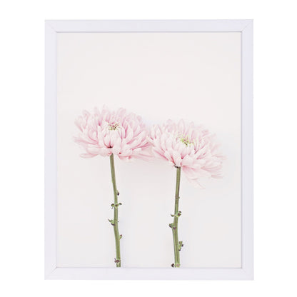 Sweet Pink Mums By The Gingham Owl - Framed Print - Americanflat