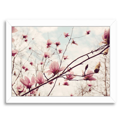 Wispy Magnolia Blooms By The Gingham Owl - White Framed Print - Wall Art - Americanflat