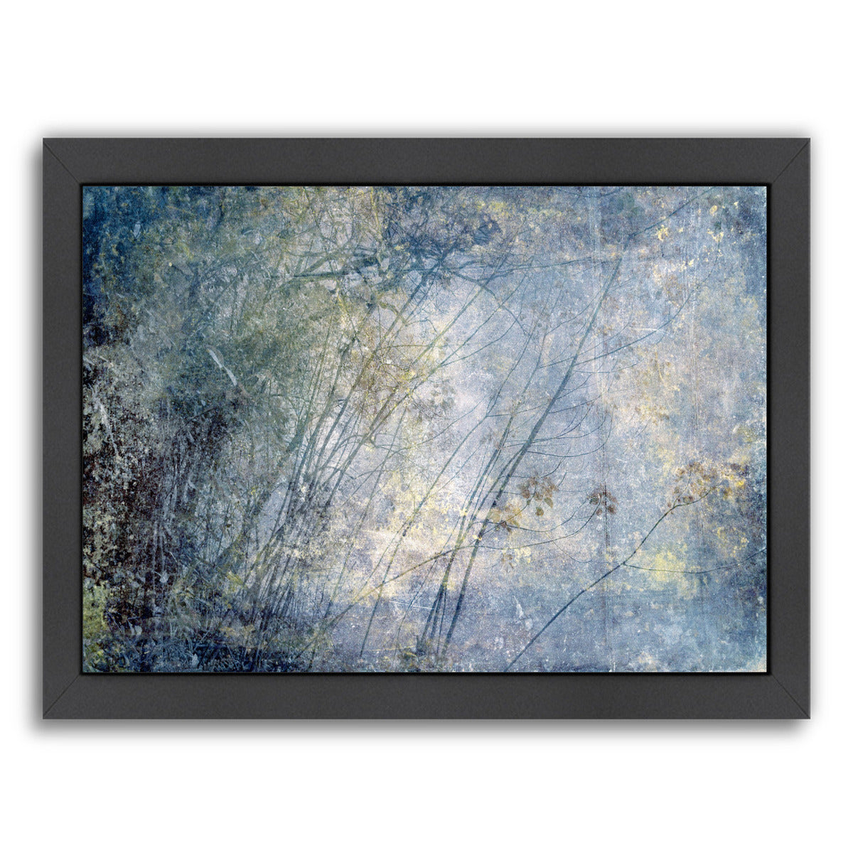 High Sierra I by Hope Bainbridge - Black Framed Print - Wall Art - Americanflat