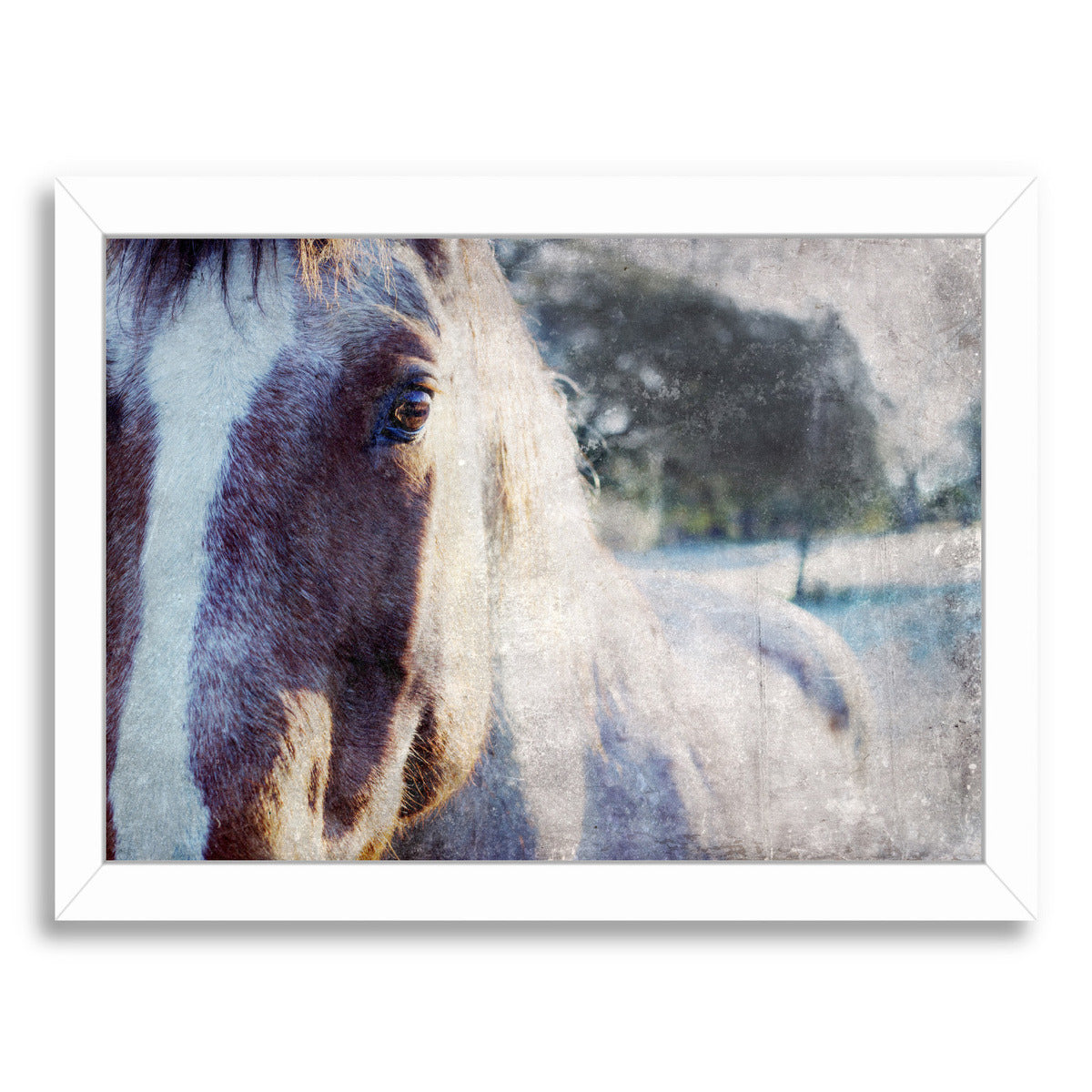 High Sierra V by Hope Bainbridge - White Framed Print - Wall Art - Americanflat