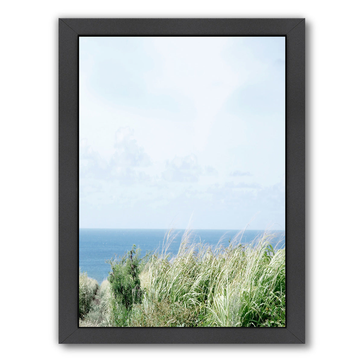 Paradise Ii by Hope Bainbridge - Black Framed Print - Wall Art - Americanflat