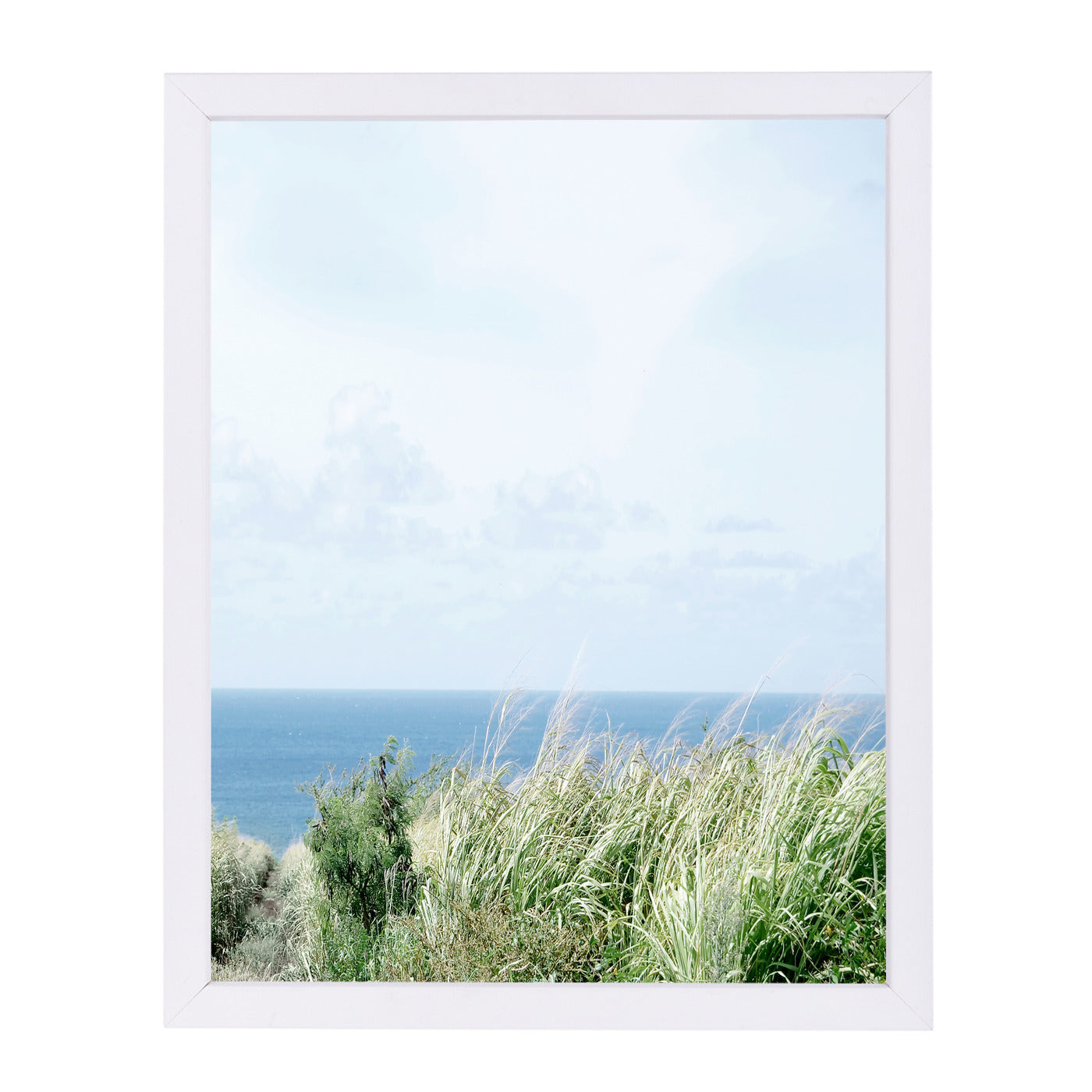 Paradise Ii by Hope Bainbridge - White Framed Print - Wall Art - Americanflat